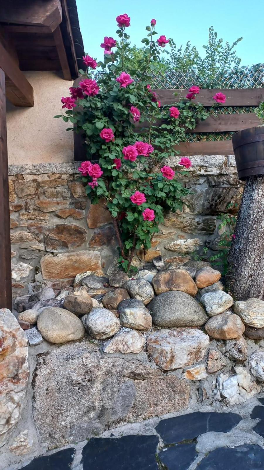 Casa Del Cura Country house *